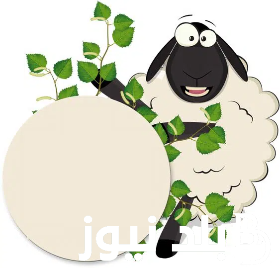 +100 تهنئه بيوم عرفه وعيد الاضحى 2024 مكتوبة “أعاده الله علينا وعليكم بالخير واليُمن والبركات”