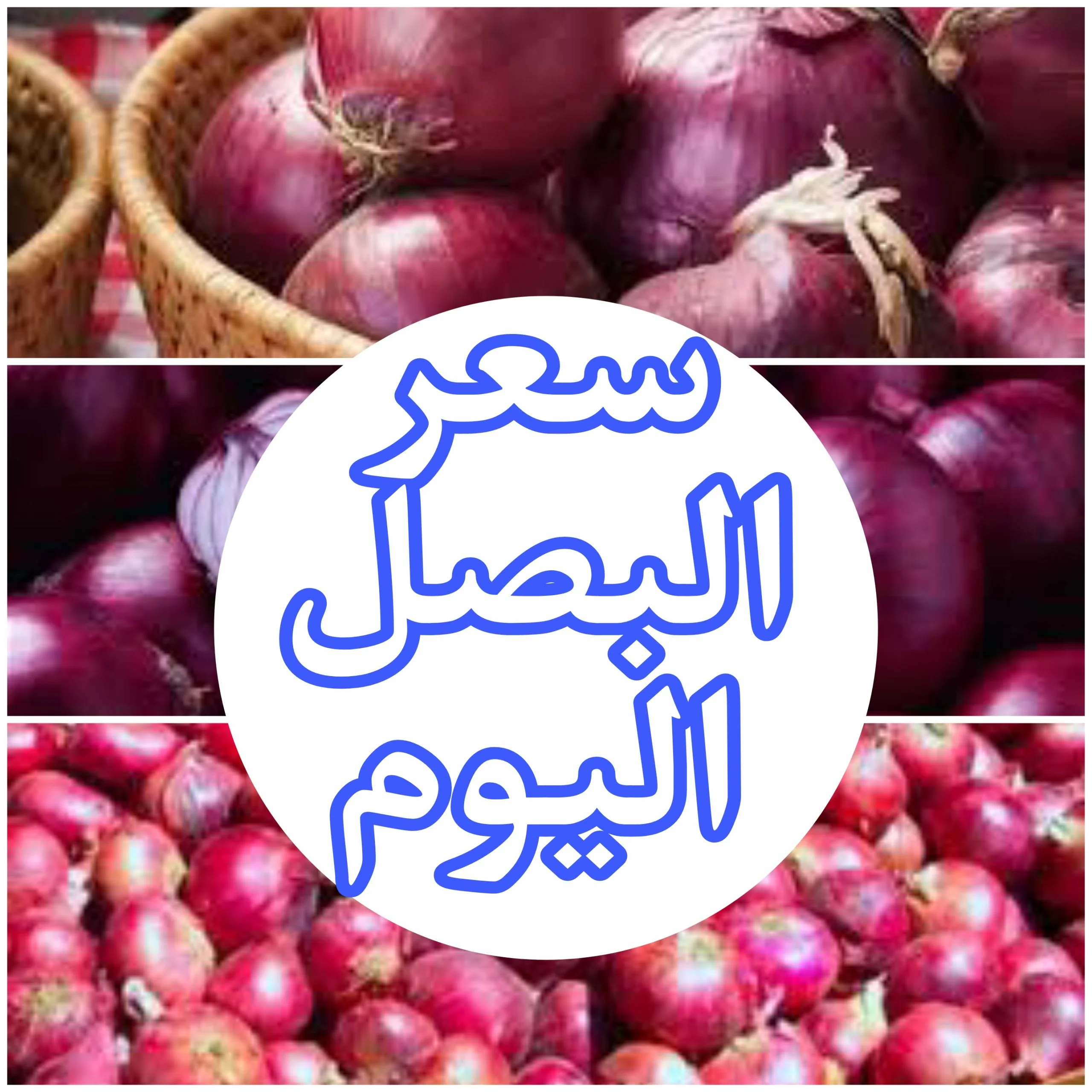 أسعار البصل اليوم السبت 8-6-2024 للمُستهلك وللتجار بجميع الاسواق وسوق العبور