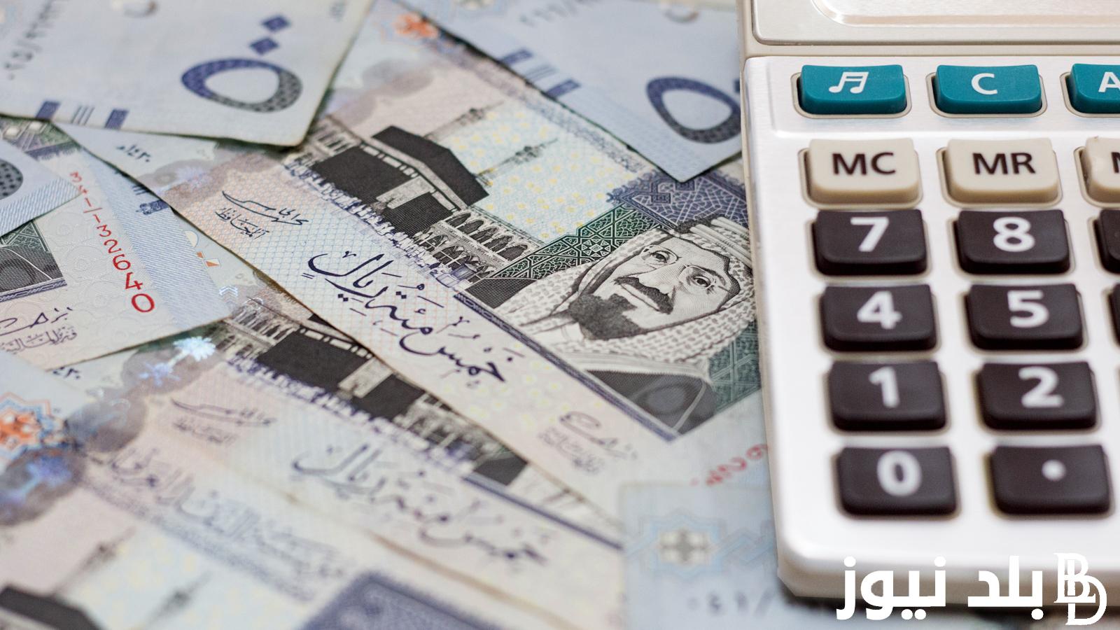 رابط الاستعلام حساب المواطن من خلال portal.ca.gov.sa.. موعد صرف الدفعة 79