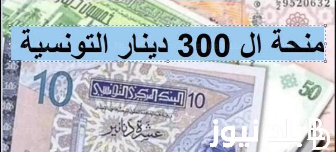 رابط التسجيل في منحة 300 دينار 2024 تونس و موعد صرف المنحة والشروط المطلوبة