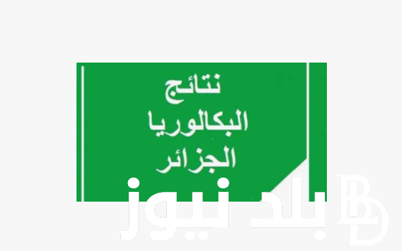 عاجل: الاستعلام عن نتائج البيام 2024 في الجزائر من خلال الموقع الرسمي للديوان الوطني للامتحانات والمسابقات bem.onec.dz