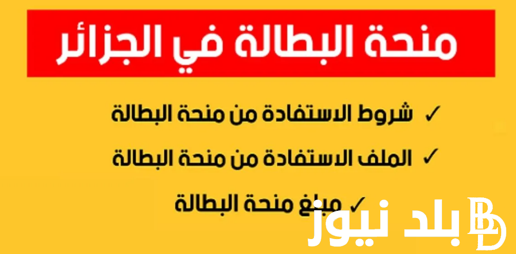 منحة البطالة 2024 بالجزائر والشروط والاوراق المطلوبة للتقديم عبر الوكالة الوطنية للتشغيل