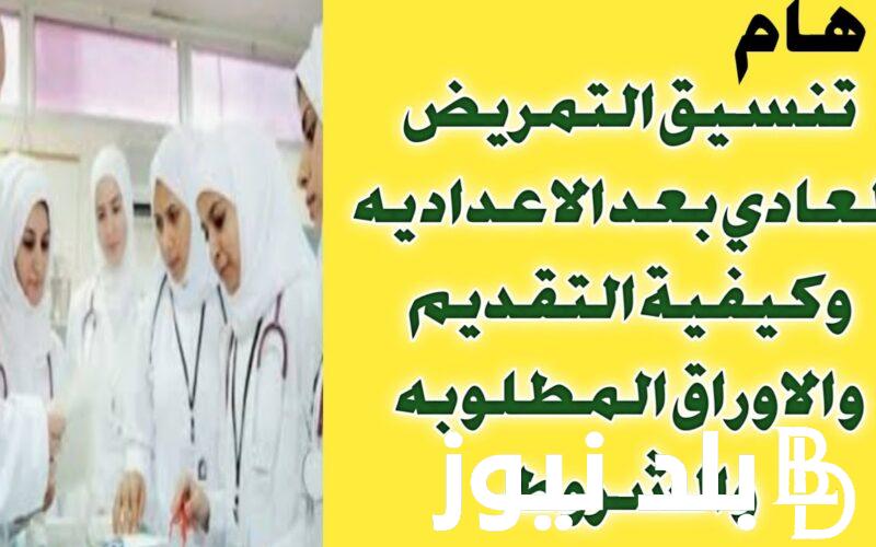 “اعرف الحد الأدنى للتقديم” تنسيق التمريض 2024 محافظة القليوبية وأوراق التقديم في الصف الأول الثانوي2024