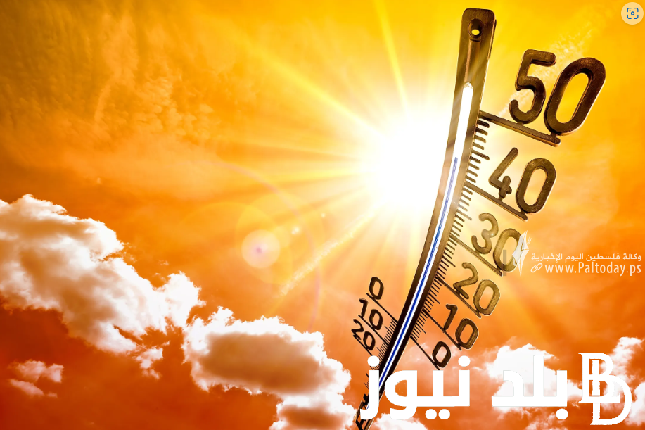 تحذير هيئة الارصاد الجوية عن حالة الطقس غدا الأحد 9 يونيو 2024 على كل محافظات مصر