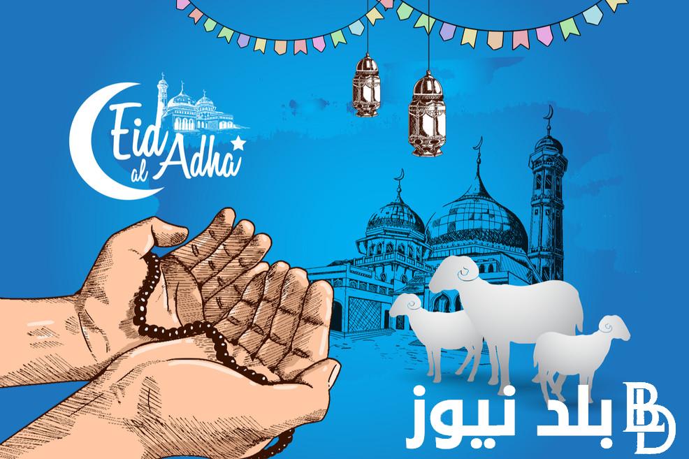 ردد الآن دعاء رابع ايام عيد الاضحي المبارك 2024.. “اللهم أحينا في هذه الدنيا حياة ترضيك وارزقنا أكمل عمل ترفعنا به”