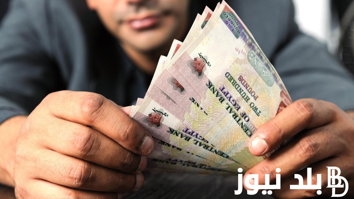 “هتاخد فلوس بالكوم” شهادات البنك الأهلي المصري 2024.. تعرف على ابرز شهادات البنك الاهلي الجديدة بأعلي عائد يصل لـ 27%