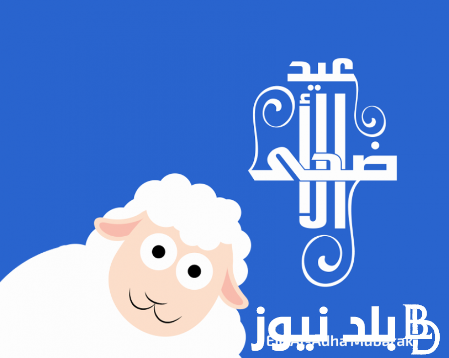 “اعرف هتاخد اجازة كام يوم” اجازة عيد الاضحى القطاع الخاص في جميع الشركات والمصانع في جميع المحافظات