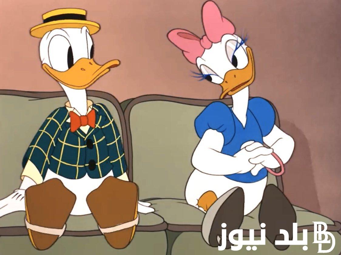 “مجانا غير مشفرة” تردد قناة بطوط 2024 علي جميع الأقمار الصناعية بجودة HD