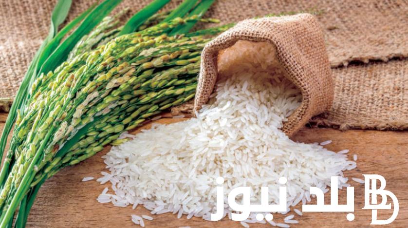 “سعر الادرب كام” سعر طن الأرز الشعير اليوم الخميس 27 يونيو 2024 في الاسواق و أسعار السلع التموينية لشهر يوليو