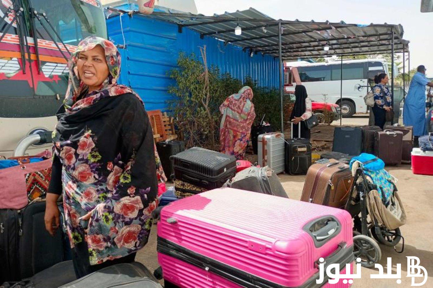 سبب اغلاق المدارس السودانية في مصر بسبب حلايب وشلاتين