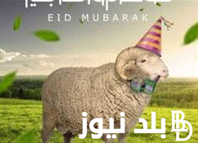 بطاقه معايده عيد الاضحى 2024 ..”هلّت الأعياد مُعلنة عن البركات والنفحات الإلهية تقبل الله طاعتكم وجعلكم من المتقين”