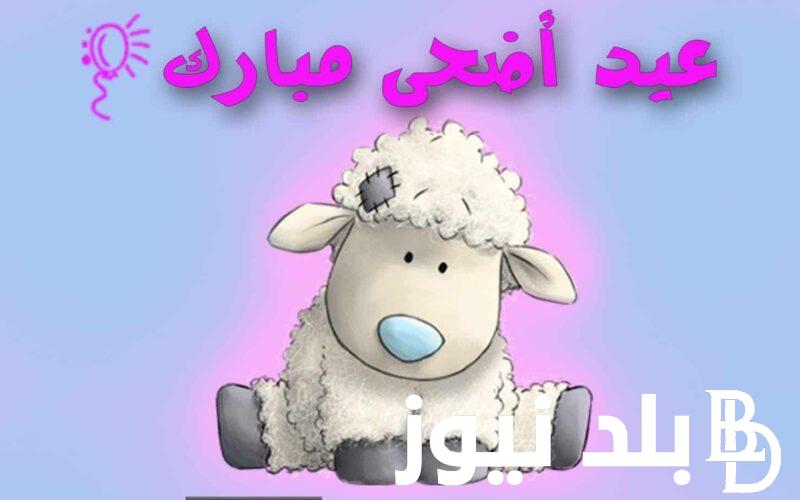 كل عام و انتم بخير.. موعد عيد الأضحى في الأردن 2024 وعدد ايام الاجازة للعاملين بالقطاع الخاص و العام
