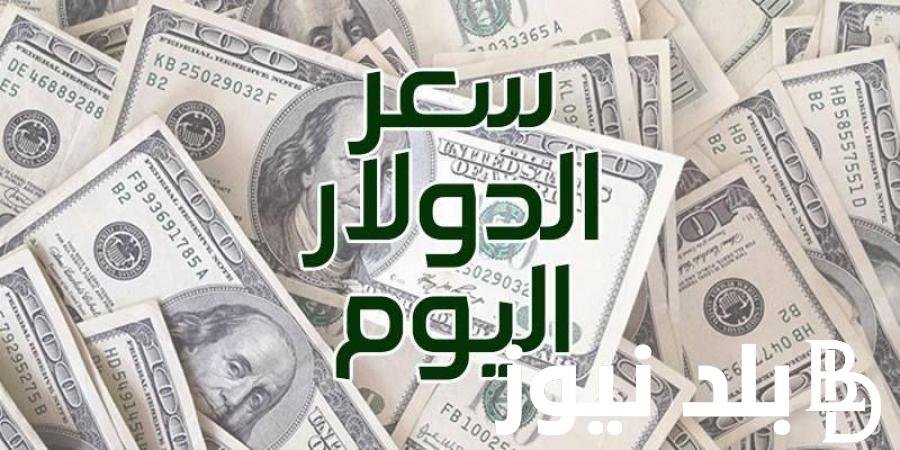 ” العملة الخضرا تتطاير” سعر الدولار اليوم في مصر الاثنين 24 يونيو 2024 في البنك المركزي والسوق السوداء