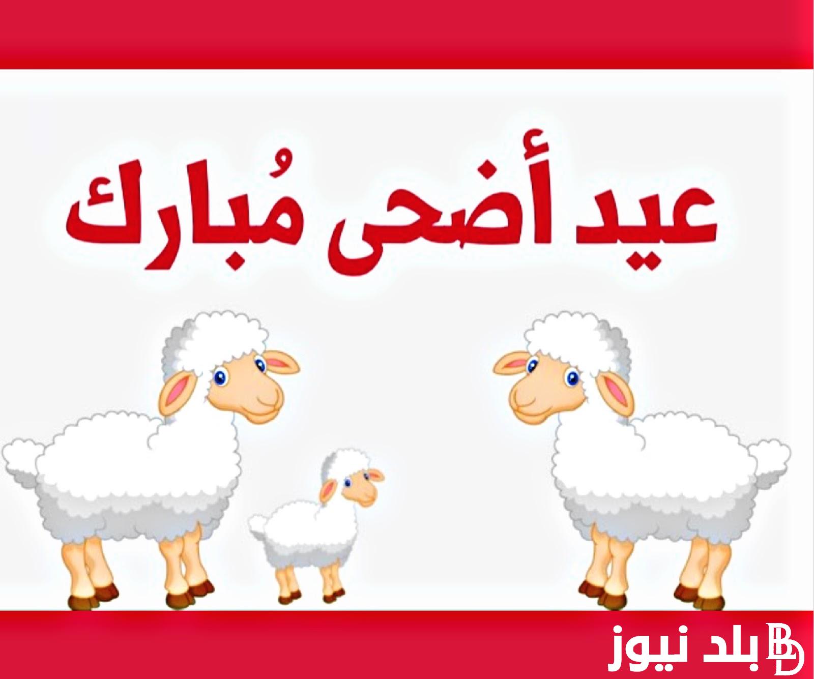 أرسلها الآن.. تهنئة عيد الاضحى 2024 بالاسم وخطوات تصميمها عبر موقع الذكاء الاصطناعي ChatGPT