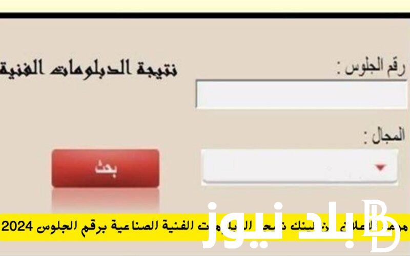 استعلم عن نتجتك من هنا.. بوابة التعليم الفني برقم الجلوس و الاسم 2024 fany.emis.gov.eg
