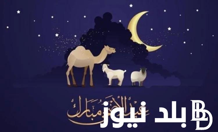 متى موعد انتهاء اجازه عيد الاضحى 2024 للقطاعين الحكومي والخاص وعدد الاجازات الرسمية المتبقية لهذا العام