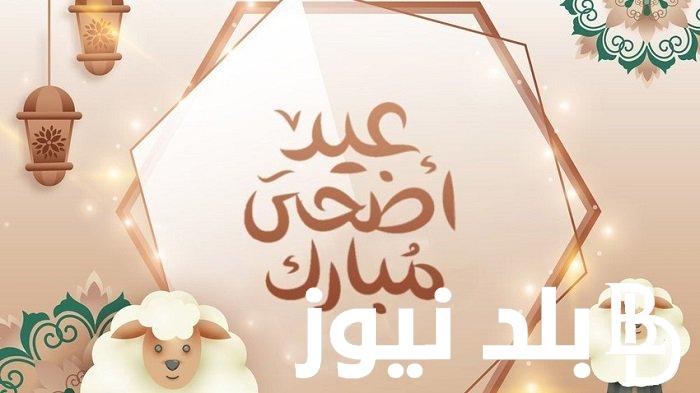 هيئة الأرصاد الفلكية بالجزائر تُعلن.. موعد عيد الاضحى 2024 في الجزائر والاجازات الرسمية لهذا العام