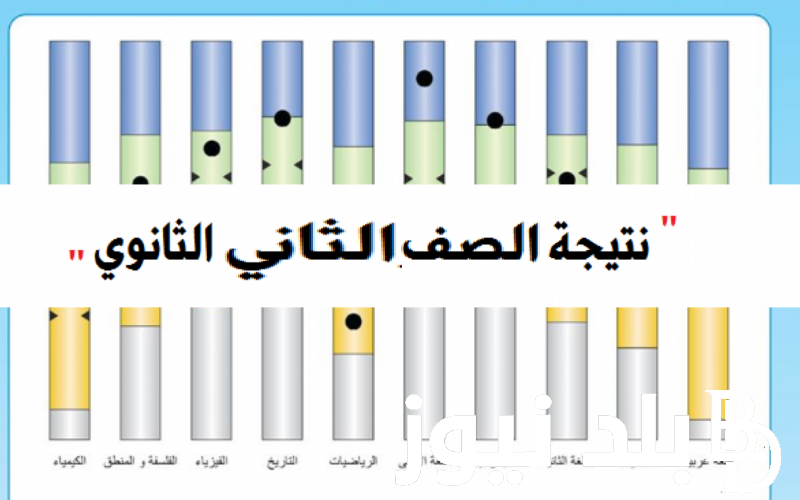 بالاسم ورقم الجلوس link نتيجة الصف الثاني الثانوي2024 بالرقم القومي وطريقة الاستعلام عنها وزارة التربية والتعليم جميع المحافظات بوابة نتائج الثانوية العامة