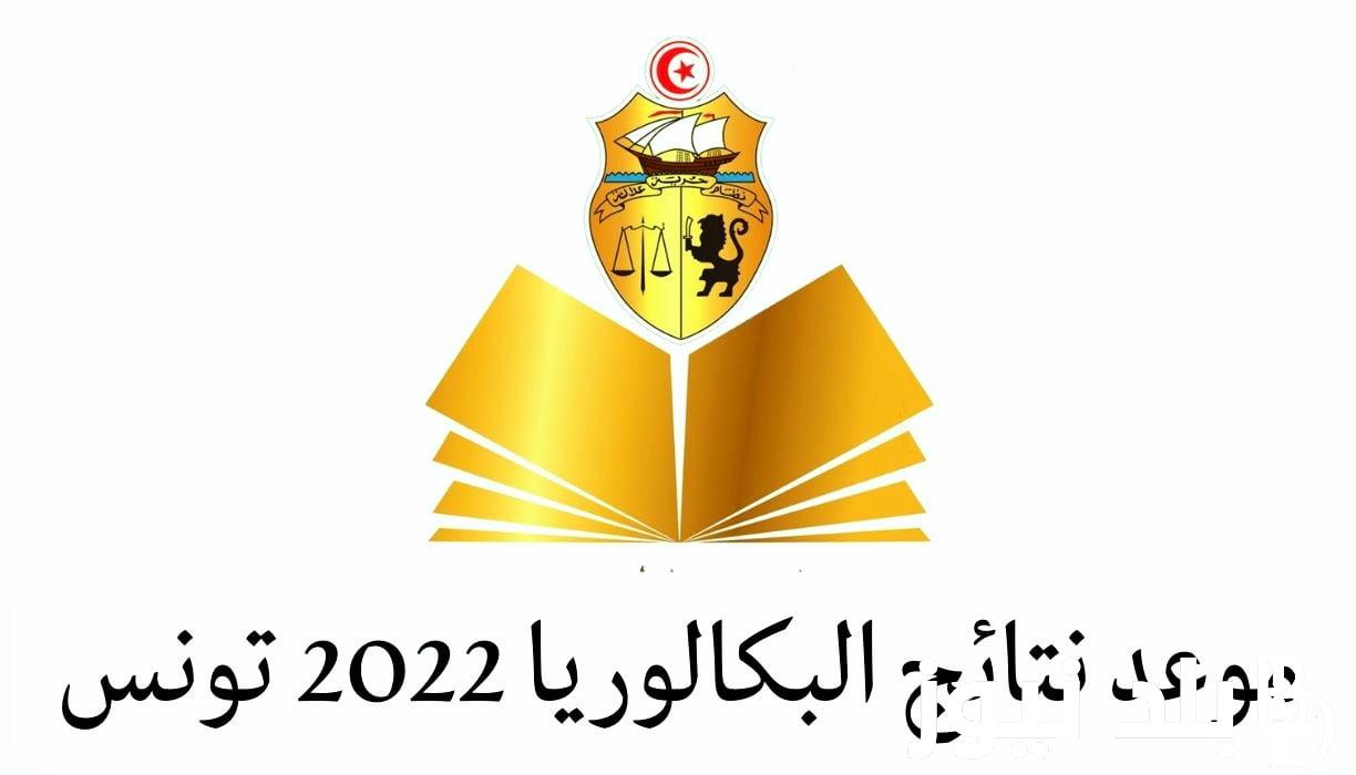“جيب نتيجتك” تعرف على رابط الاستعلام عن نتائج البكالوريا 2024 بتونس من خلال الموقع الرسمى لوزارة التربية والتعليم التونسية