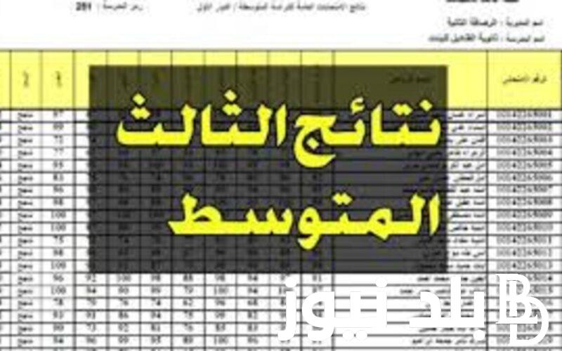هتظهر قريبا.. اعرف رابط نتائج الثالث متوسط 2024 الدور الاول من خلال موقع وزارة التربية والتعليم العراقية