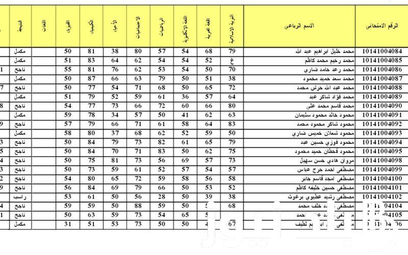 “مُتاحة الان” نتائج الصف الثالث متوسط 2024 الدور الاول موقع نتائجنا results.mlazemna.com بالرقم الامتحاني