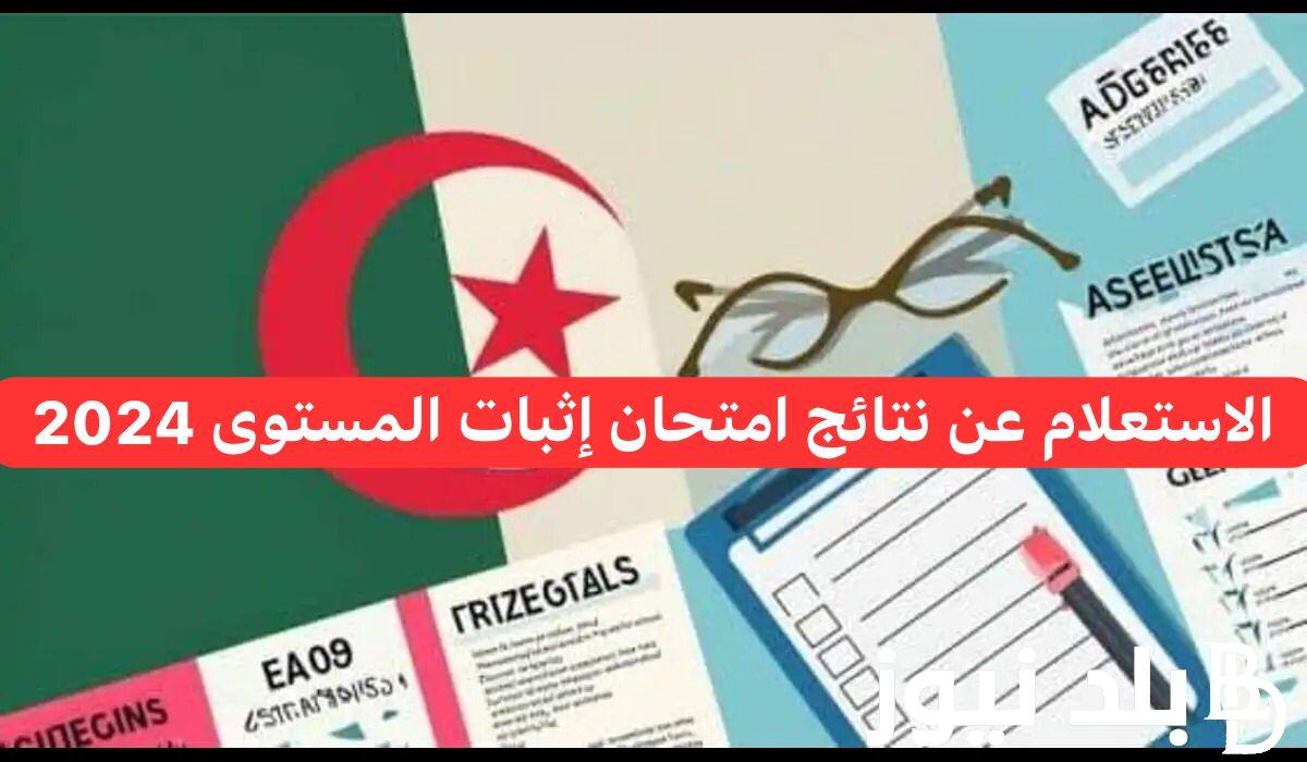 رابط مُباشر موقع نتائج اثبات المستوى 2024 برقم التسجيل وخطوات الحصول على نتائج امتحان اثبات المستوى