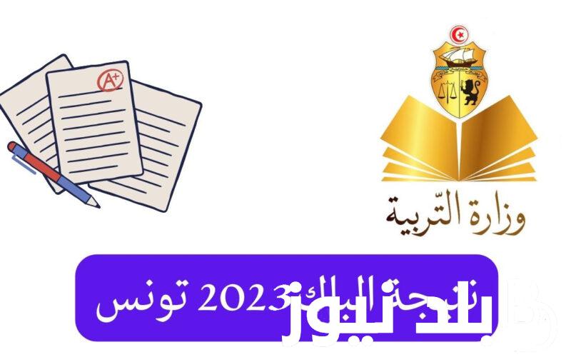 من هنا…..اعلان نتائج الباك تونس 2024 وخطوات الاستعلام عن النتائج عبر موقع وزارة التربية والتعليم التونسية