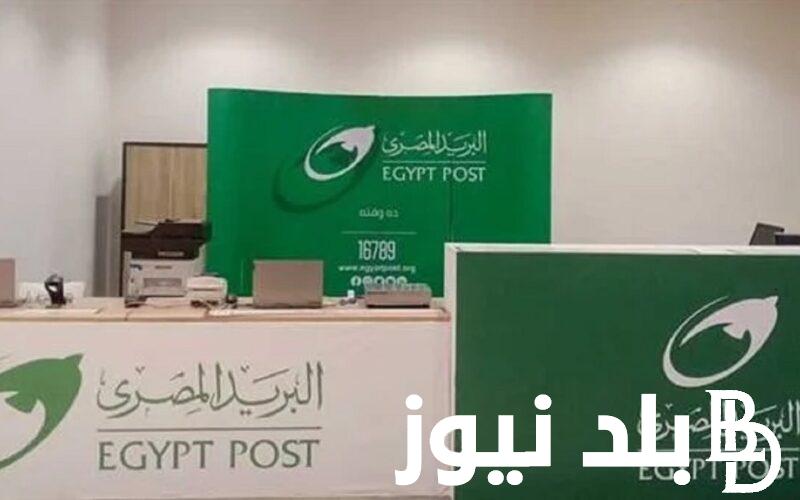“اسماء المقبولين” نتيجة مسابقة البريد 2024 ورابط الاستعلام عن نتيجة مسابقة البريد المصري عبر بوابة الوظائف الحكومية
