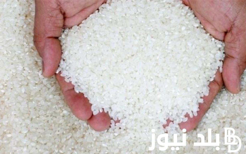 “شعير وابيض” سعر طن الأرز الشعير اليوم الاثنين 22 يوليو 2024 واسعار السلع التموينيه
