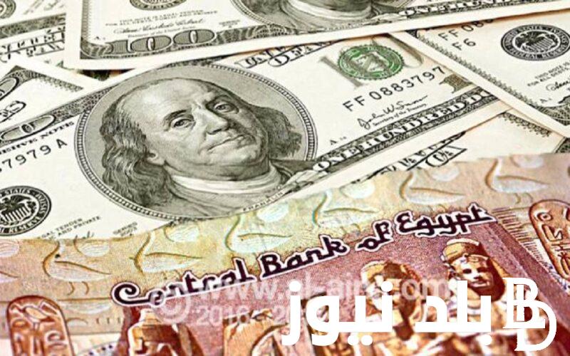 ” هبوط مفاجئ” سعر الدولار اليوم في السوق السوداء الان بتاريخ 7 يوليو 2024 وفي متخلف البنوك وفقاً للتحديثات الأخيرة
