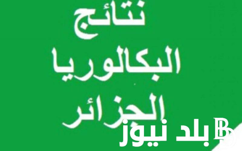 رابط الاستعلام عن موقع نتائج البكالوريا 2024 عبر الديوان الوطني للامتحانات والمسابقات