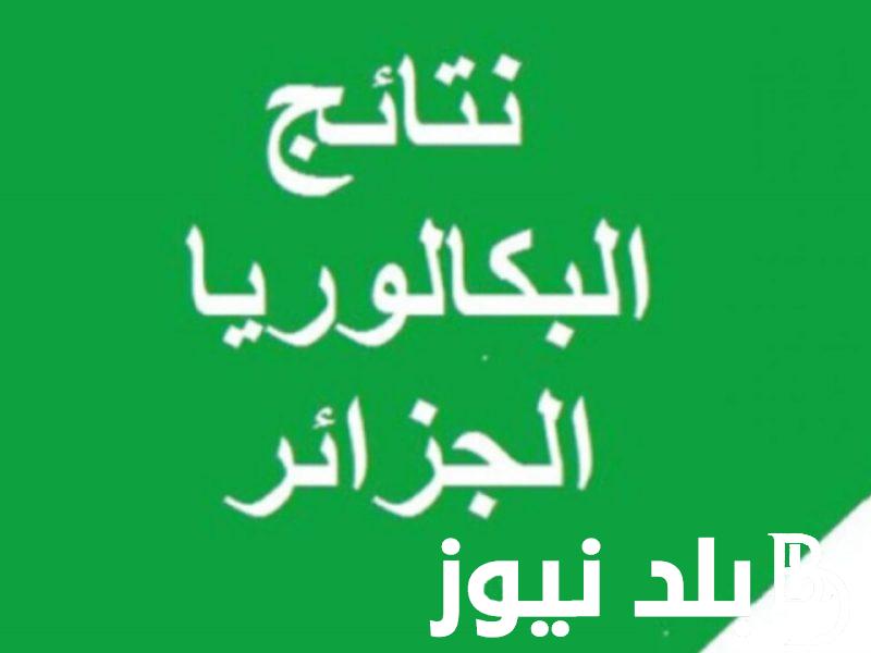 “متاح الأن” موقع نتائج بكالوريا الجزائر 2024 عبر وزارة التربية الوطنية.. وخطوات الإستعلام عن النتائج