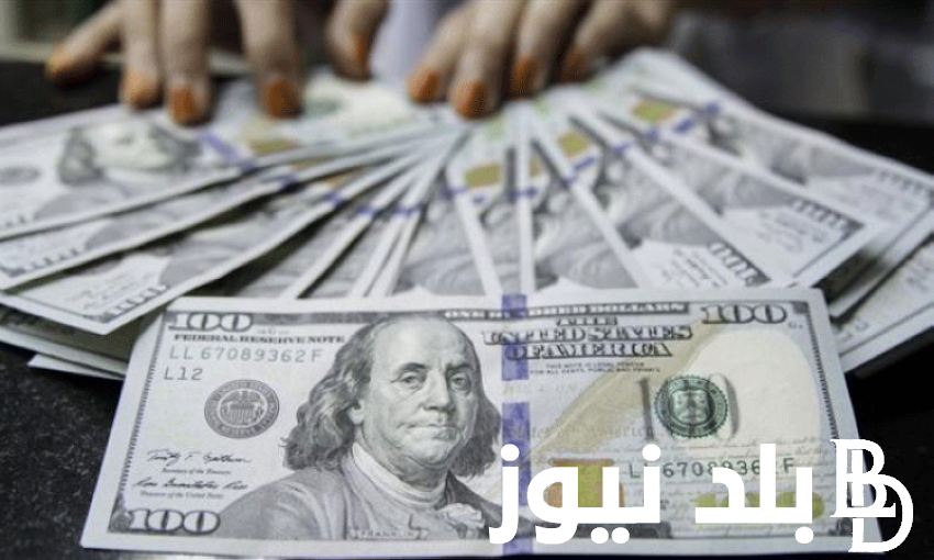 ارتفاع ملحوظ.. أسعار الدولار واليورو اليوم الثلاثاء 9 يوليو 2024 في البنوك