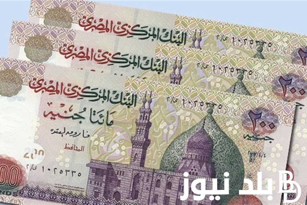 “هتسكب فلوس كتيررر” فوائد 100 ألف جنيه في البنك في الشهر بعد اصدار الشهادات الجديدة من البنك الاهلي المصري 2024