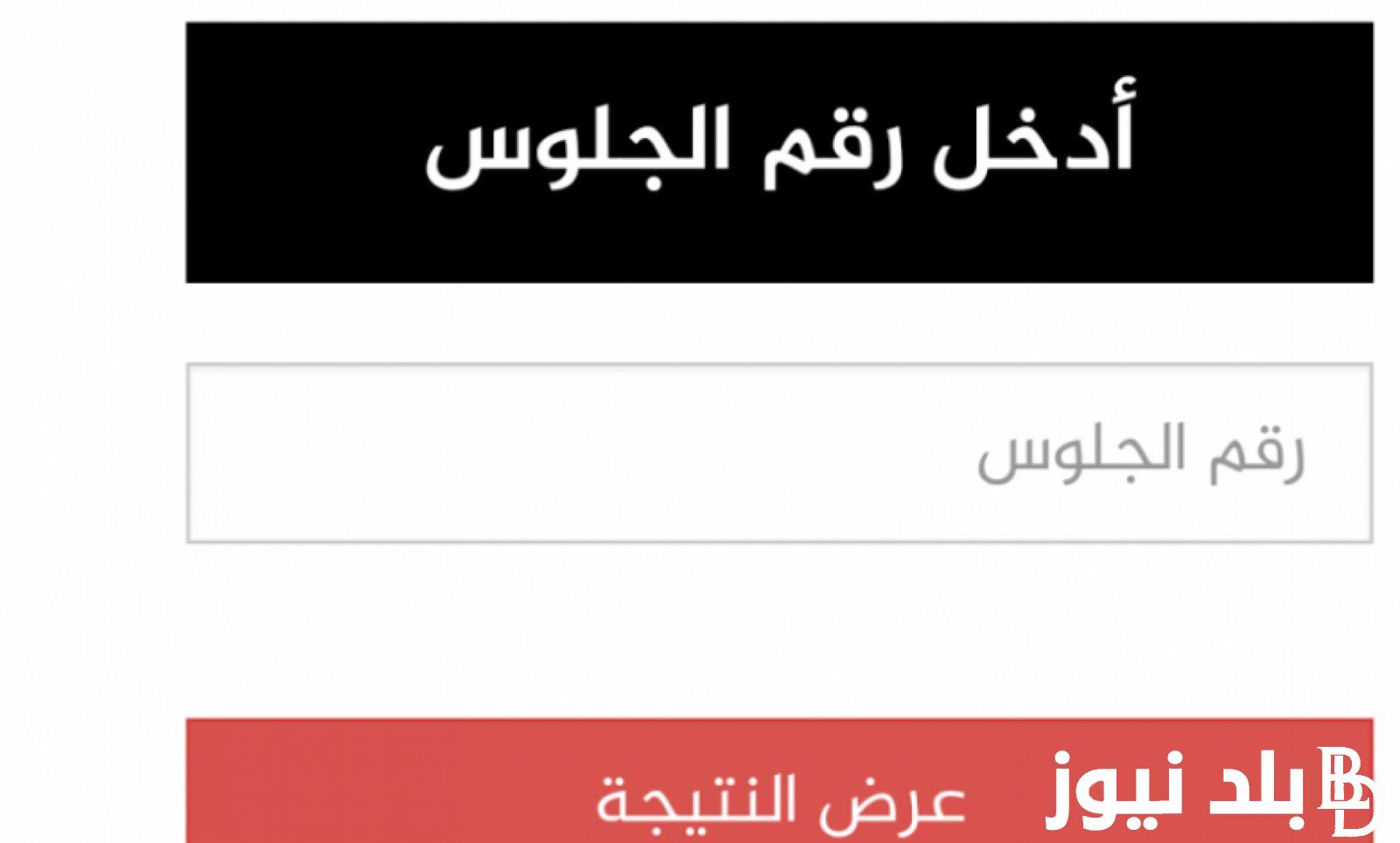 اعرفها بالدرجات.. نتيجة الثانوية العامة برقم الجلوس 2024 لطلاب العلمي والأدبي من خلال thanwya-teach.emis.gov.eg