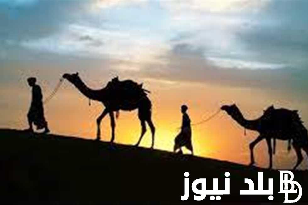 ما هو حكم التهنئة بالعام الهجري الجديد 1446.. دار الافتاء توضح