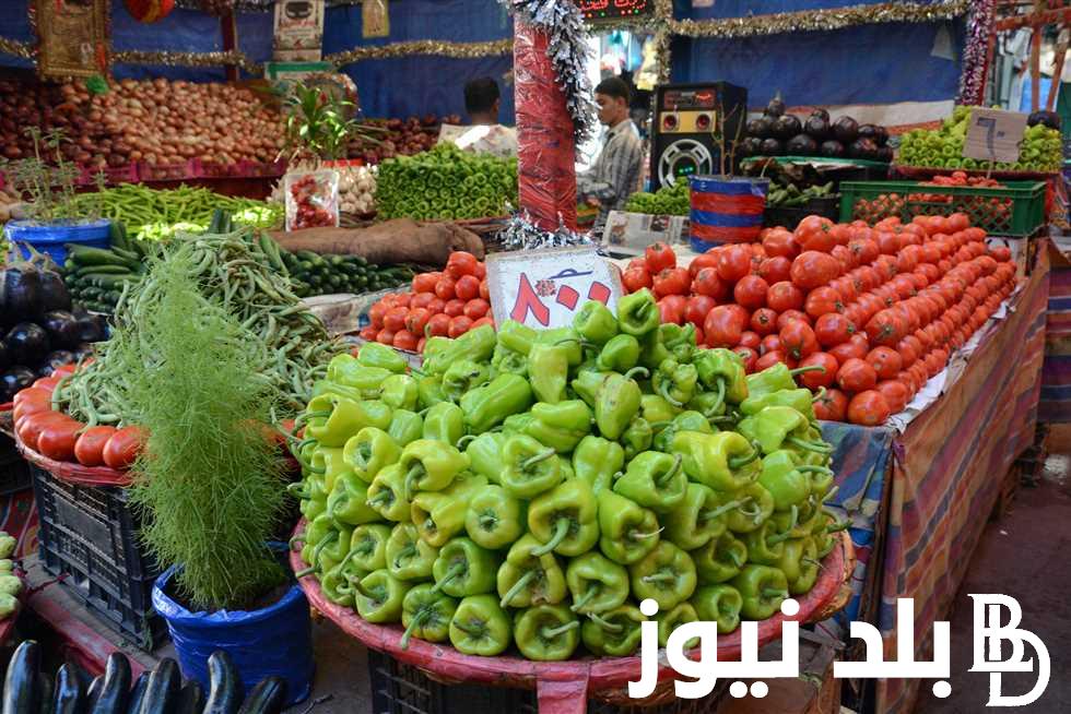 “بامية وكوسة” اسعار الخضار اليوم بالكيلو في سوق العبور بتاريخ الإثنين 29 يوليو 2024