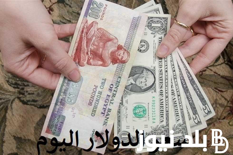 ضربة في سعر الدولار اليوم مقابل الجنيه المصرى في السوق السوداء بتاريخ الأحد 21\7\2024
