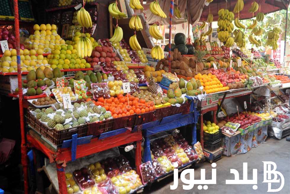 البرتقال بـ6 جنيهات.. اسعار الفاكهه اليوم في سوق العبور لتجارة الجمله للتجار والمستهلكين