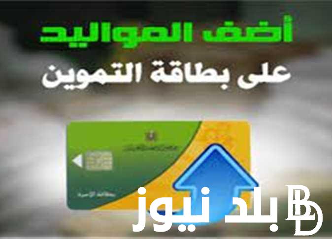 تعرف على إضافة المواليد على بطاقة التموين 2024 واهم الفئات المستحقة للاستفادة من الدعم