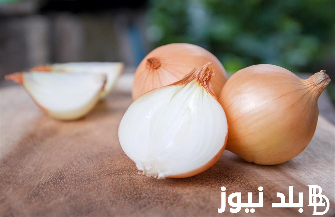 الكيلو بكام اليوم؟ أسعار البصل الأحمر الجديد اليوم الاحد 7 يوليو 2024 في سوق العبور للجمله