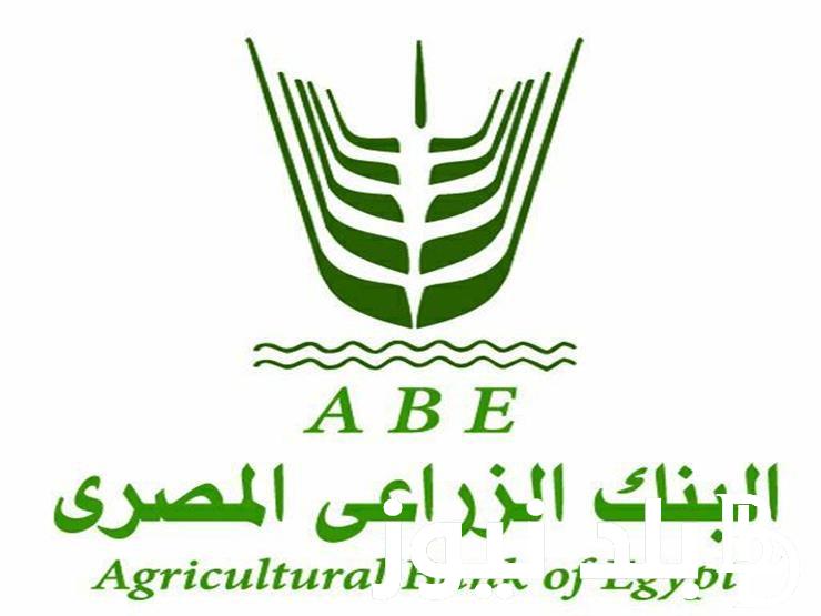 قدم الآن.. تدريب البنك الزراعي المصري 2024.. موعد وطريقة التقديم للتدريب الصيفي لطلبة الجامعات