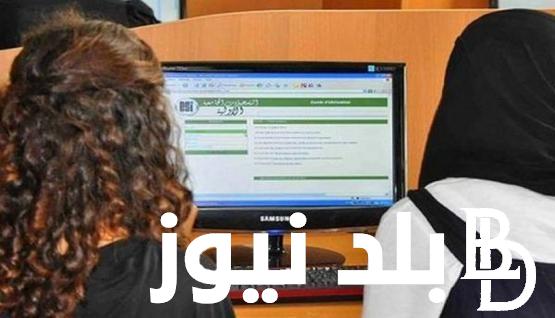 رابط.. تأكيد التسجيلات الجامعية الأولية عبر المنصة الإلكترونية للتسجيلات الجامعية