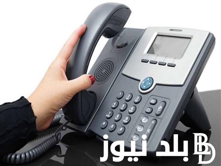 “الحق ادفع قبل الغرامة” دفع فاتورة التليفون الارضي لشهر يوليو 2024 وطريقة الاستعلام