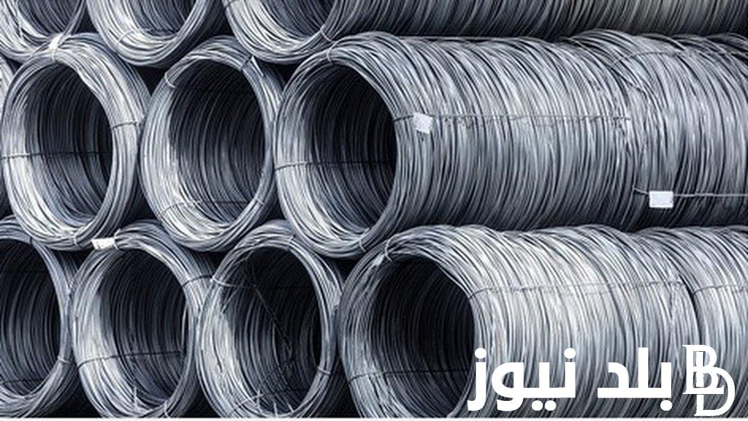 المعادي والمركبي.. سعر الحديد اليوم في مصر بتاريخ الإثنين 29 يوليو 2024 للمستهلك