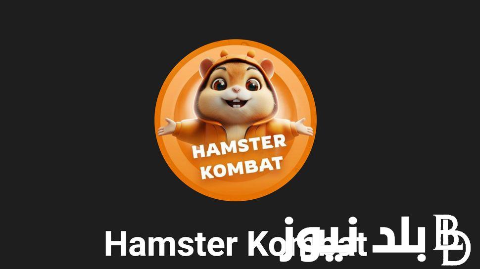 “اكسب عملات مشفرة” تحميل لعبة hamster kombat لكسب الاموال وخطوات سحب العملات من بوت هامستر تيلجرام