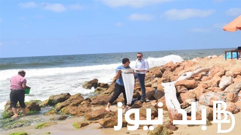 تعرف على المزيد.. تسونامي البحر المتوسط واحتياطات الكوارث الطبيعية والزلازل في البحر المتوسط