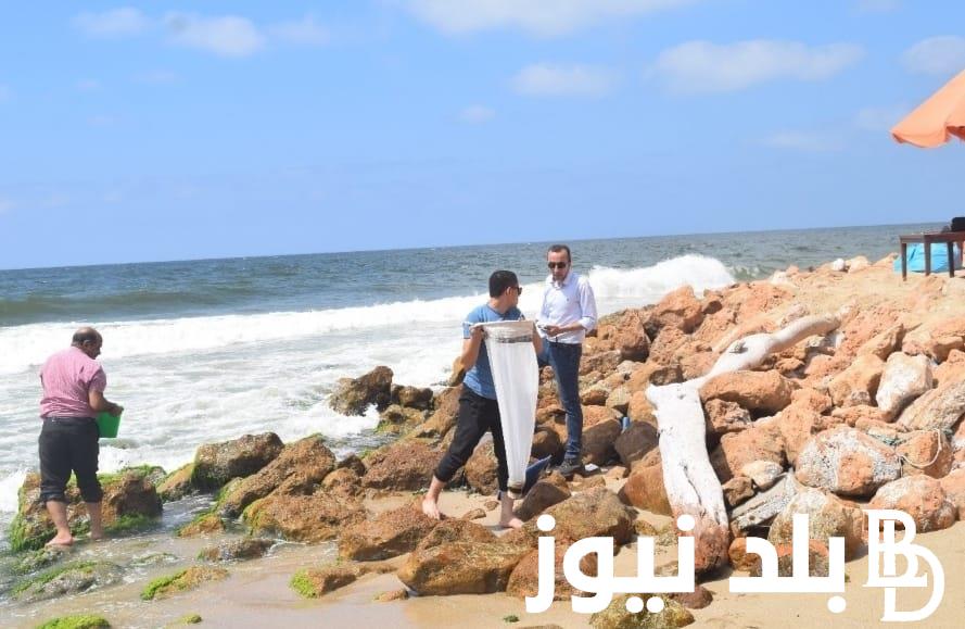 “ظاهرة كل 6 سنوات” حدوث تسونامي البحر المتوسط.. المعهد القومي للبحوث الفلكية يُوضح
