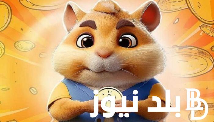 تعرف على خطوات سحب عملة الهامستر وتحويلها الى محفظة TON وتحميل لعبة hamster kombat