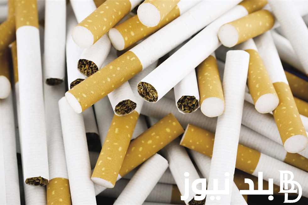 “السجائر وعمايلها” رئيس شعبة الدخان يوضح أسباب رفع أسعار السجائر اليوم